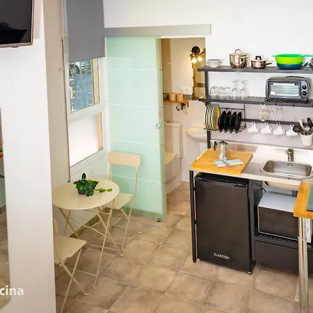 La Casa Del Druida Ii *