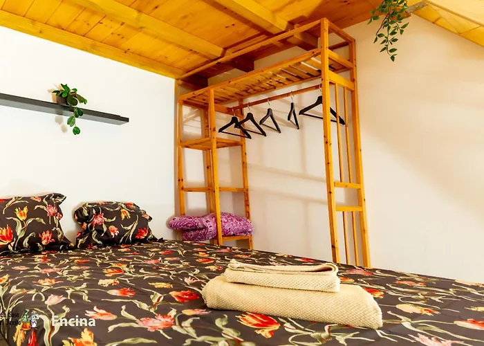 La Casa Del Druida Ii