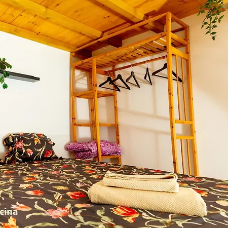 La Casa Del Druida Ii